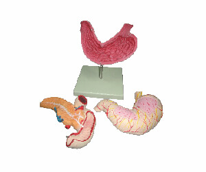 BioLab Products